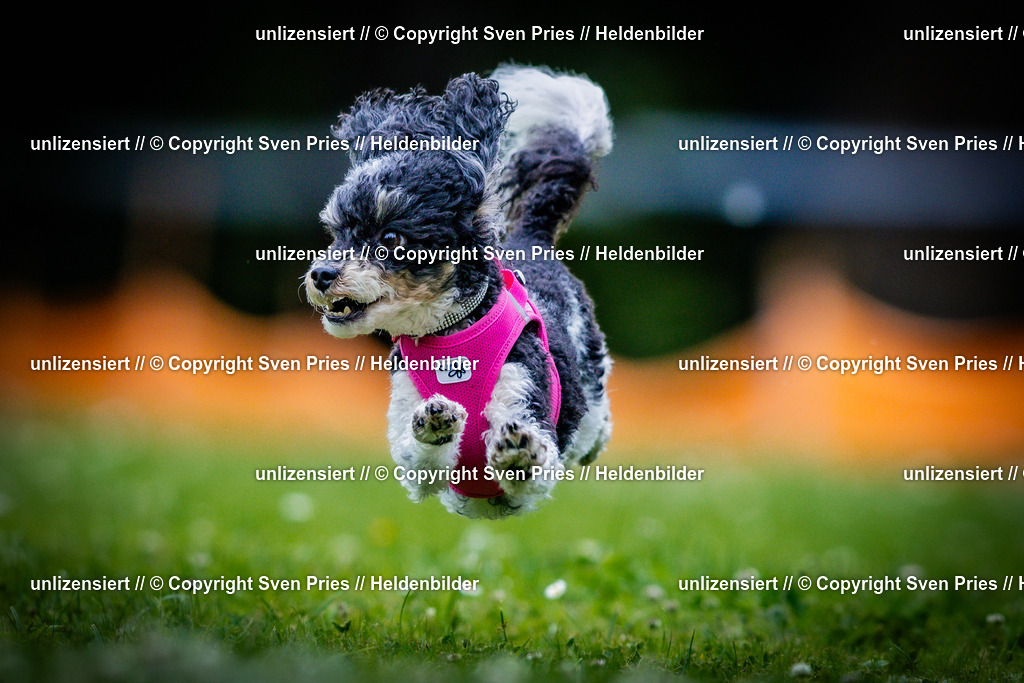 Sven Pries | 2025-05-29 - Pudelrennen KA-Durlach - Realisiert mit Pictrs.com