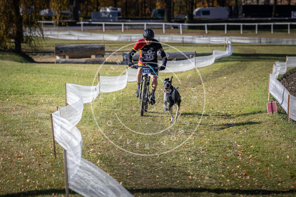 CaniXpix_DV3A6995 | Hundefotografie, Tierfotograf, Pfotenfotografie, Fotoshooting Hund, Hunde Portrait, Hundesport, Hundeportraits, Heideshooting, Hunde, Sportfotograf, Hundefotograf, Turnierhundsport, THS,  - Realisiert mit Pictrs.com