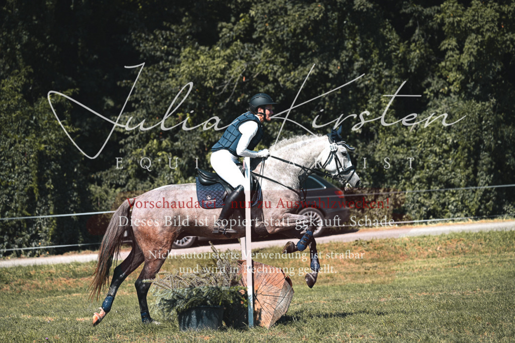 DSC_8199 | Pferde- und Turnierfotografie in Westsachsen. Pferdeportraits, Auftragszeichnungen und intuitive Kunst.
