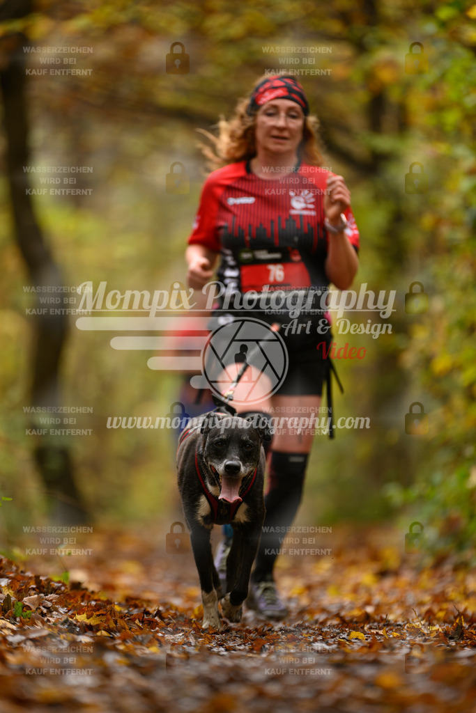 MompixPhotography_CD7S_DI_CCL-81 | mompixphotography