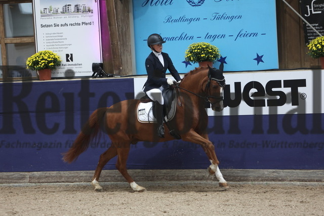 Reutlingen_2023_Prfg.Nr.10_Pony-Dressur-Master_Kür_Pia-Marie Feucht_Timberlake SH (5) | Alle Fotos der Reiterjournal Fotografin Doris Matthaes im Reiterjournal Online-Fotoshop. - Realizado com Pictrs.com