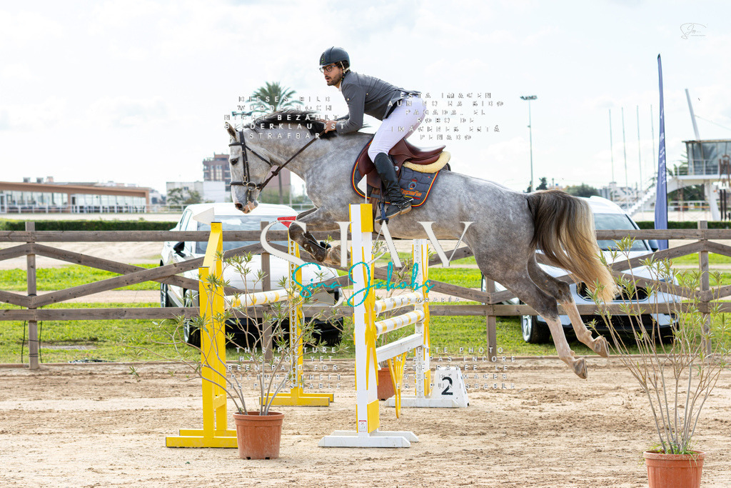 IMG_2553 | s-jay-photography - Realisiert mit Pictrs.com