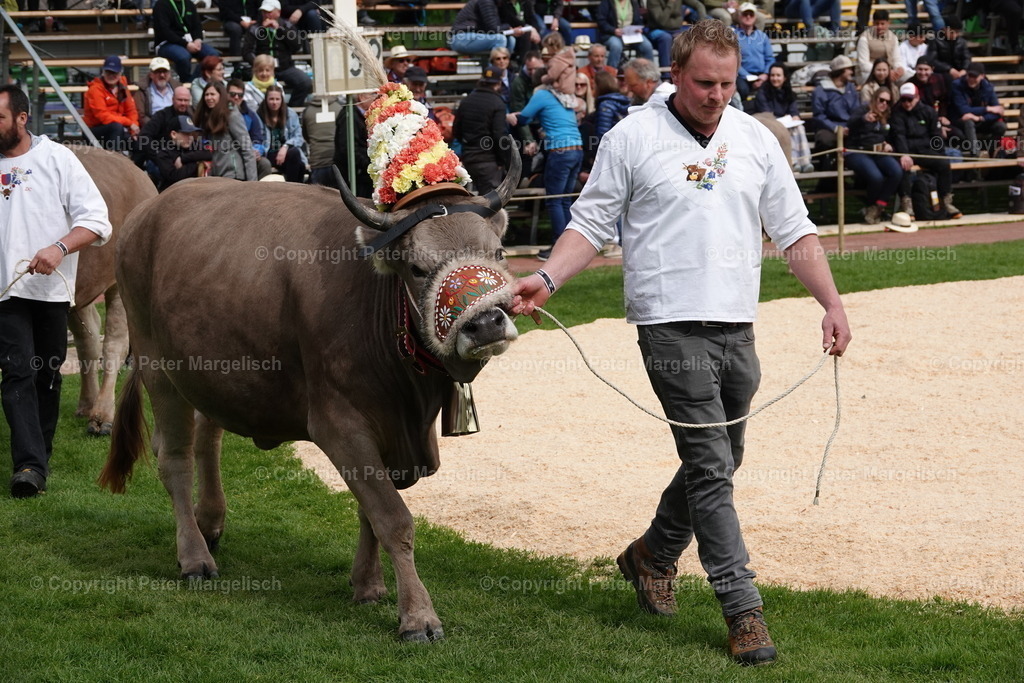 DSC03272 | Schwingen - Realisiert mit Pictrs.com