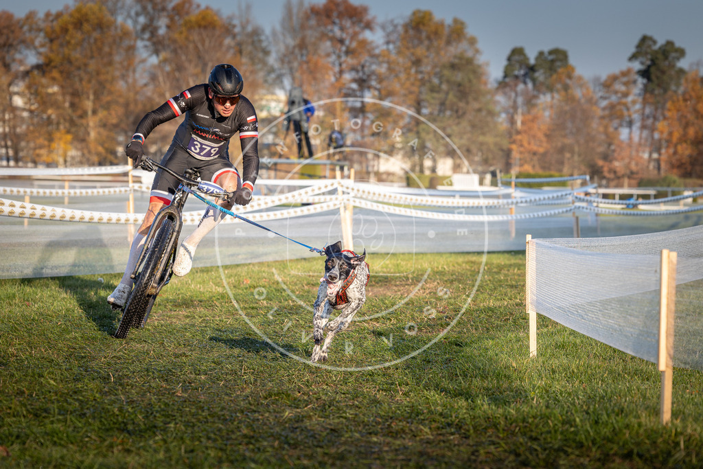 CaniXpix_0L8A3714 | Hundefotografie, Tierfotograf, Pfotenfotografie, Fotoshooting Hund, Hunde Portrait, Hundesport, Hundeportraits, Heideshooting, Hunde, Sportfotograf, Hundefotograf, Turnierhundsport, THS,  - Realisiert mit Pictrs.com
