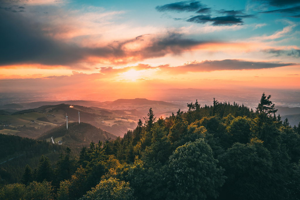 P1245776 | Bilder-Onlineshop für Heimatbilder vom Schwarzwald und Oberrhein. Galeriebilder auf Acrylglas, Alu-Dibond, Leinwand und Poster online bestellen. Der Schwarzwald als Wandbild für Ihr Zuhause! | Art, Kunst, Wandbilder, Black Forest, Deko - Realisiert mit Pictrs.com