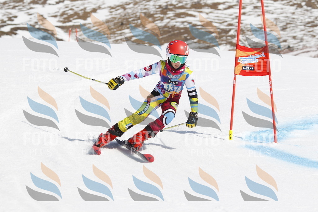 _U3G0996 | holidayphoto