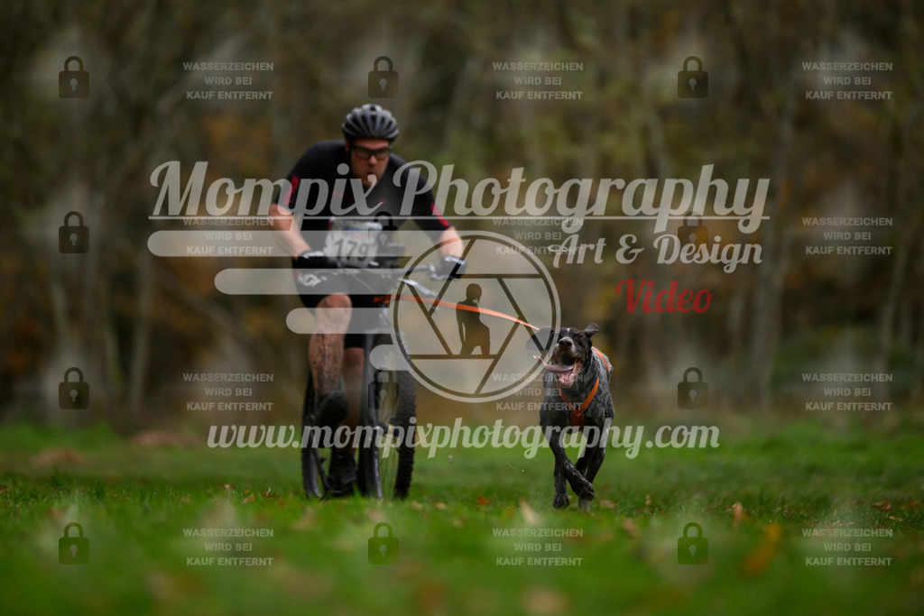 MompixPhotography_Bischwiller24_SA_DS1-25 | PayLife