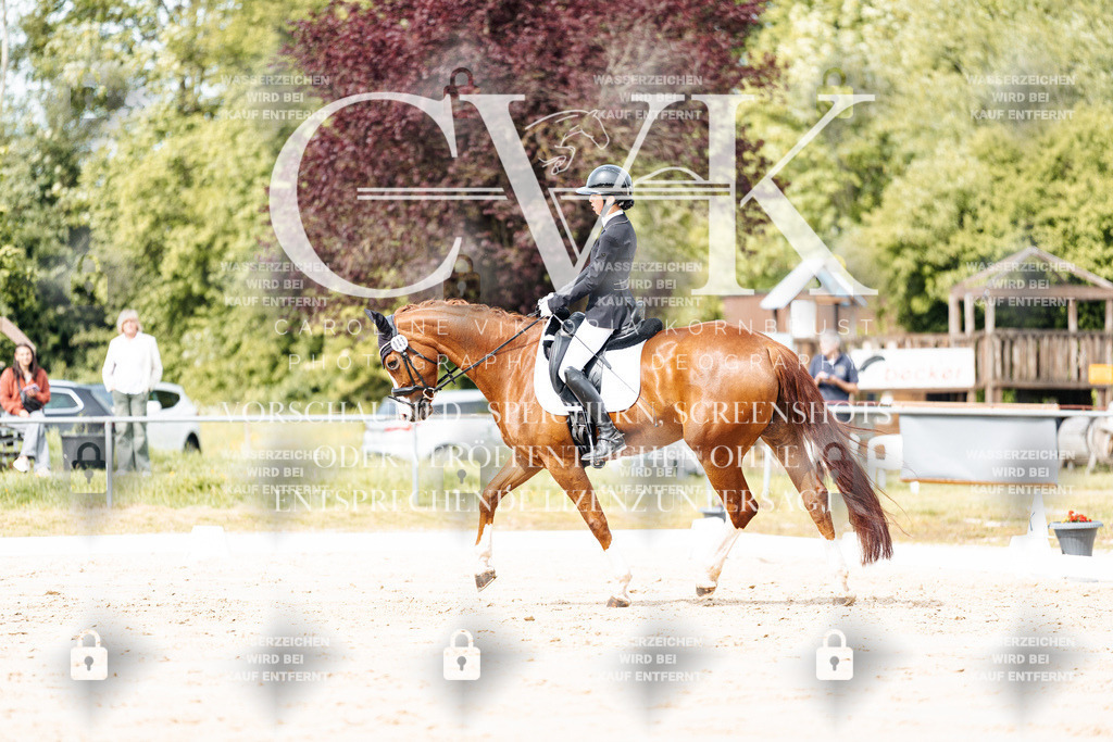CK901082 | Turnierfotografie Pferdefotografie Trier Rheinland-Pfalz Pferdesport Reitsport Tierfotografie Sportfotografie Pferdevideo Pferdevideografie Equestrianvideography equestrianphotography  - Realisiert mit Pictrs.com