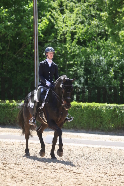 Böblingen_2025_Prfg.Nr.08_Dressurprüfung_Kl.M_Nürnberger Burgpokal_Alena Weinberger_Don Dynamic (4) | Alle Fotos der Reiterjournal Fotografin Doris Matthaes im Reiterjournal Online-Fotoshop. - Realisiert mit Pictrs.com