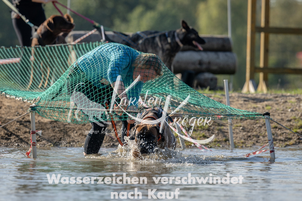 1415_ZZ91914 | kk-dogfotos