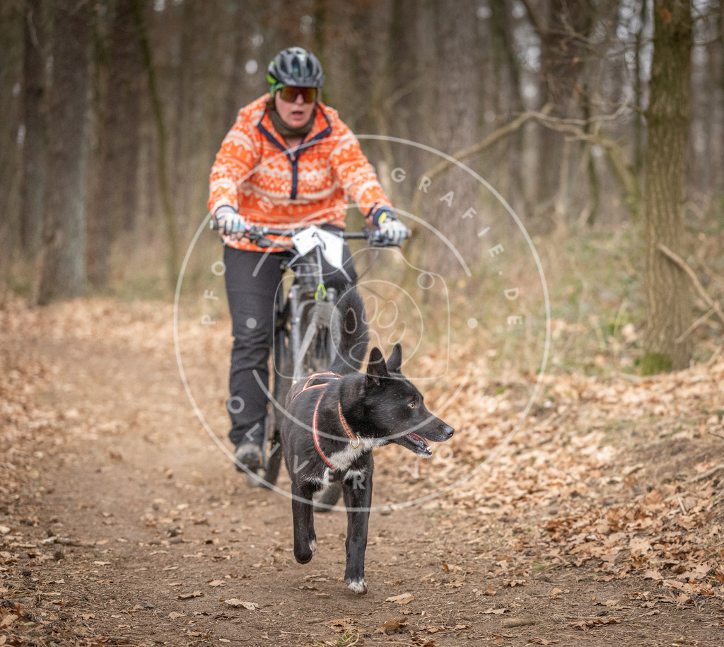 Pfotenfotografie_DV3A6449 | Hundefotografie, Tierfotograf, Pfotenfotografie, Fotoshooting Hund, Hunde Portrait, Hundesport, Hundeportraits, Heideshooting, Hunde, Sportfotograf, Hundefotograf, Turnierhundsport, THS,  - Realisiert mit Pictrs.com