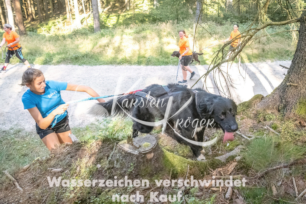 1056_ZZ93753 | kk-dogfotos