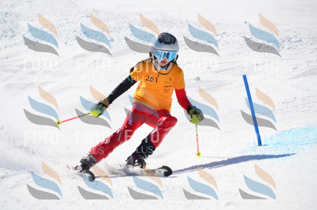 C8514 | holidayphoto