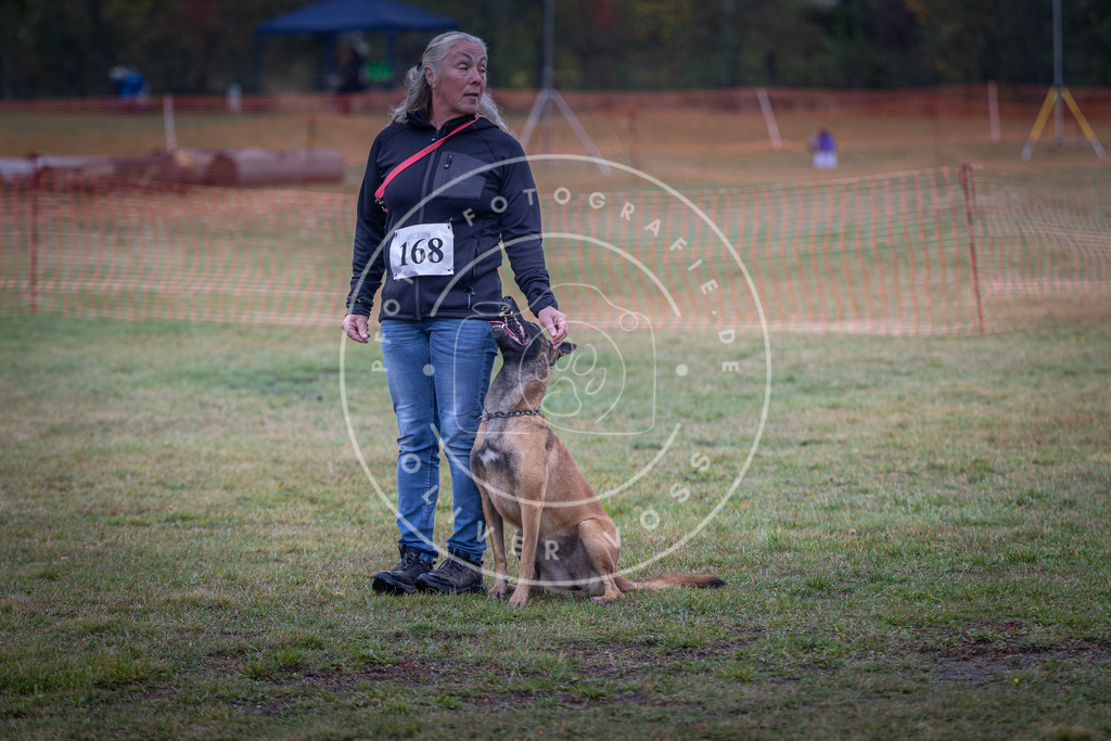 Pfotenfotografie_DV3A9029 | Hundefotografie, Tierfotograf, Pfotenfotografie, Fotoshooting Hund, Hunde Portrait, Hundesport, Hundeportraits, Heideshooting, Hunde, Sportfotograf, Hundefotograf, Turnierhundsport, THS,  - Realisiert mit Pictrs.com