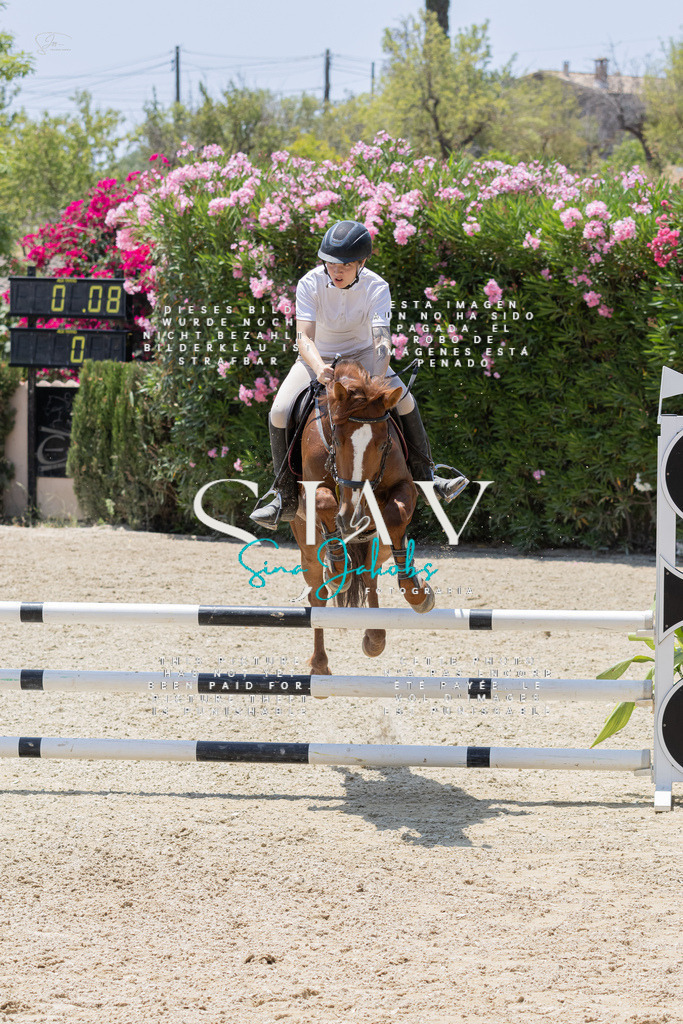 IMG_1847 | s-jay-photography - Realisiert mit Pictrs.com