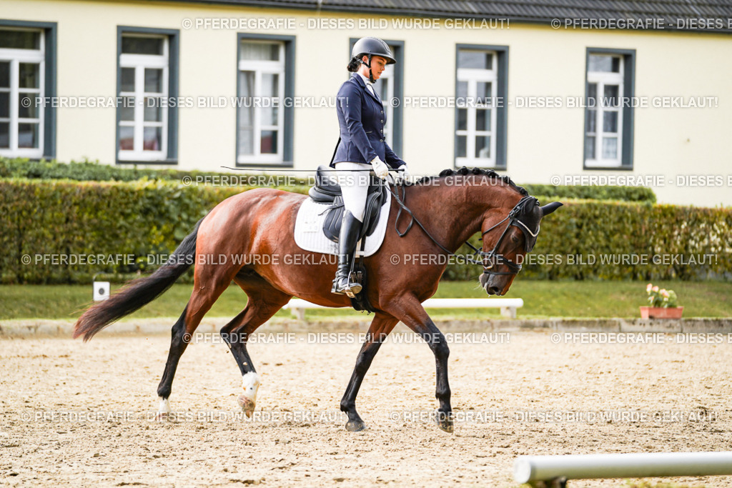 DSC09511 | Pferdegrafie