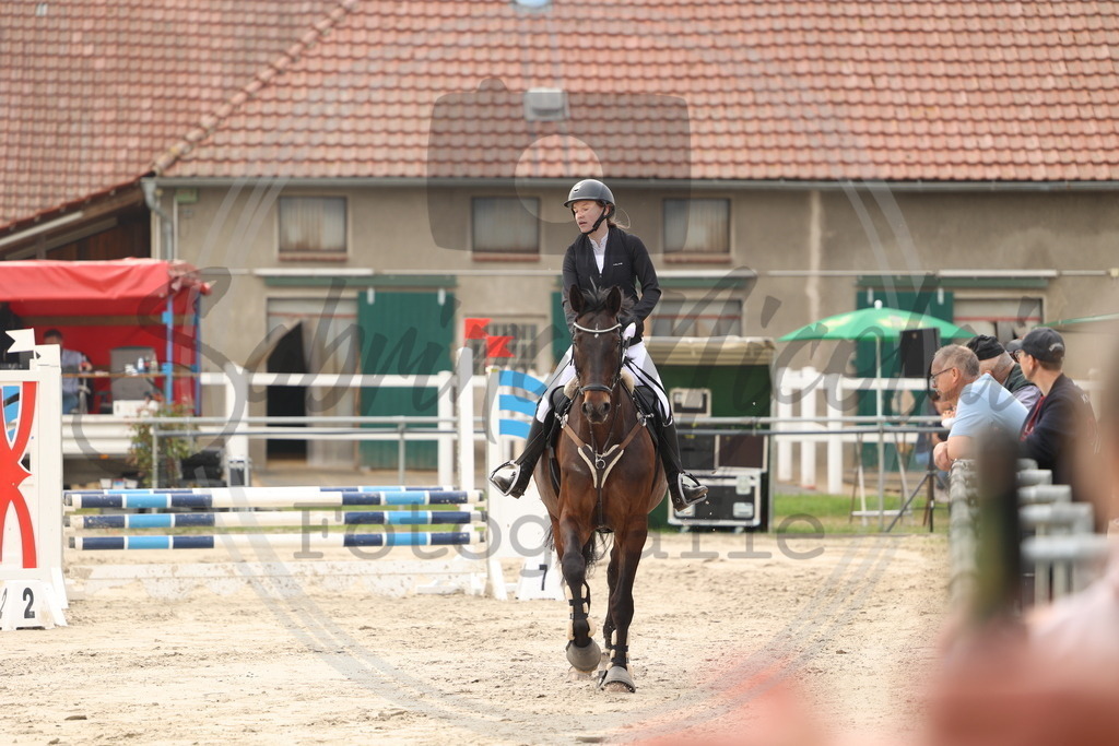 994A8187 | sabrinanicolaifotografie - Realisiert mit Pictrs.com