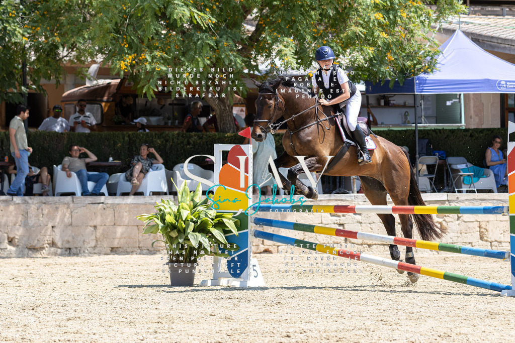 IMG_6020 | s-jay-photography - Realisiert mit Pictrs.com