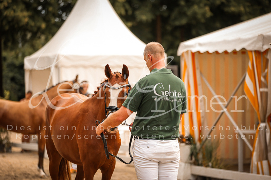 11.So00122 | Leoni Ertmer Photography - Realisiert mit Pictrs.com