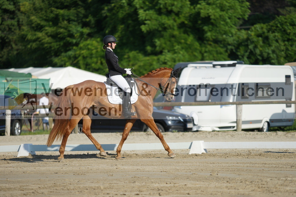 DSC04176 | equestrian-live-com