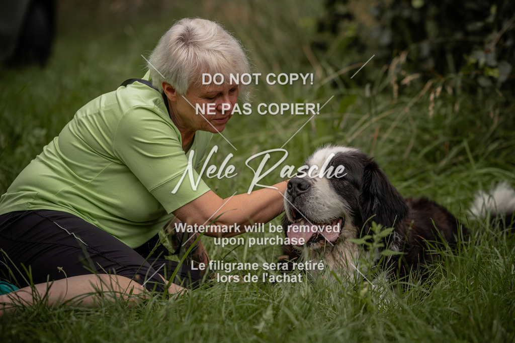 nelerasche_DoN_106 | nelerasche