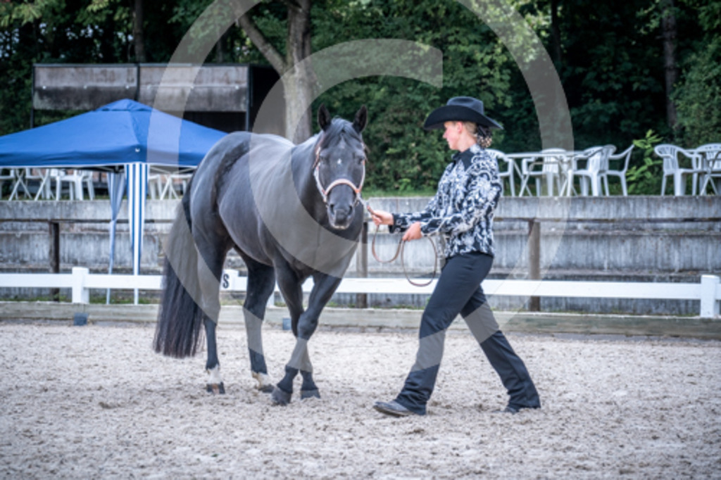 HEB06580 | BS-foto