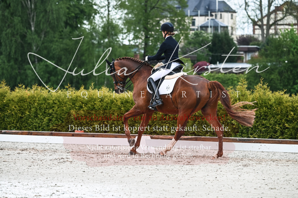 DSC_4250 | Pferde- und Turnierfotografie in Westsachsen. Pferdeportraits, Auftragszeichnungen und intuitive Kunst.