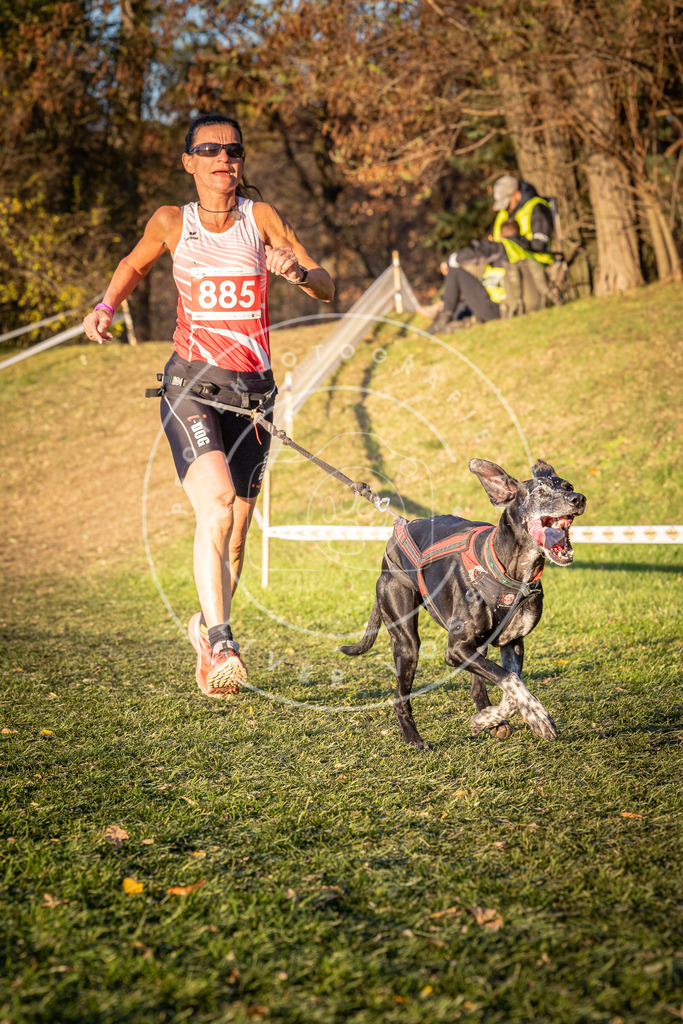 CaniXpix_0L8A1251 | Hundefotografie, Tierfotograf, Pfotenfotografie, Fotoshooting Hund, Hunde Portrait, Hundesport, Hundeportraits, Heideshooting, Hunde, Sportfotograf, Hundefotograf, Turnierhundsport, THS,  - Realisiert mit Pictrs.com