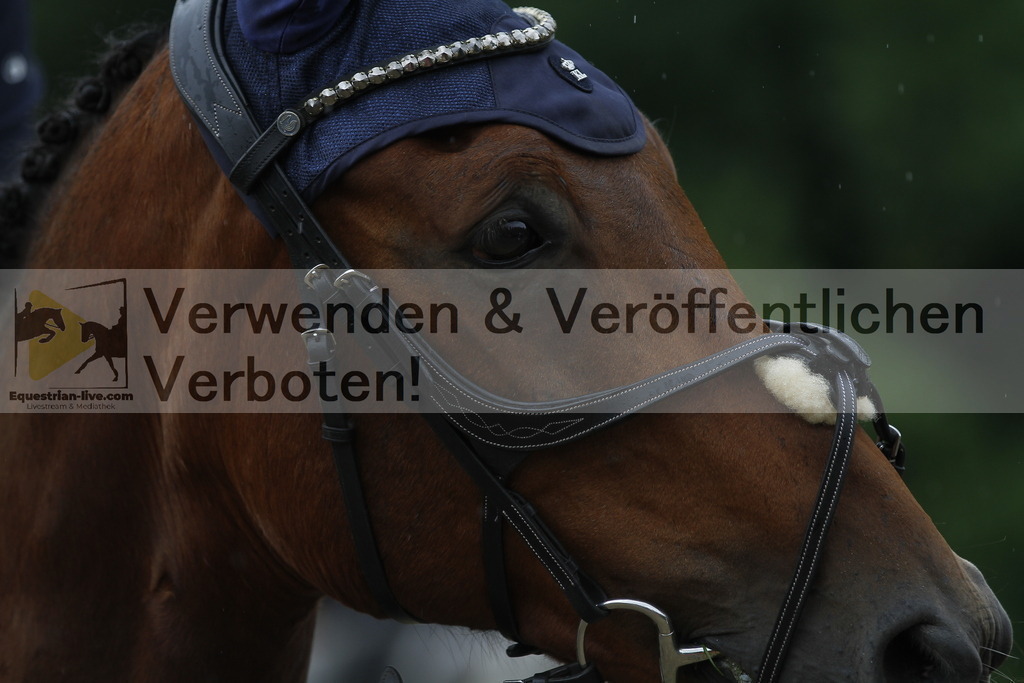 _MG_9422 | equestrian-live-com