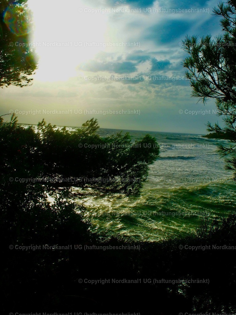 PA231964-1 | OLYMPUS DIGITAL CAMERA          - Realisiert mit Pictrs.com