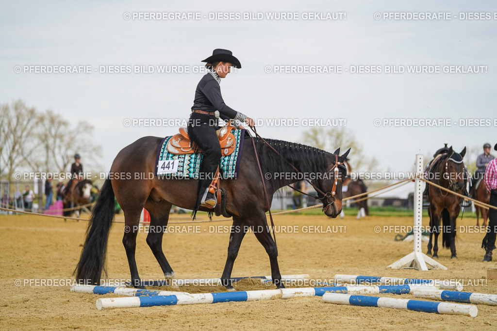 DSC05256 | Pferdegrafie