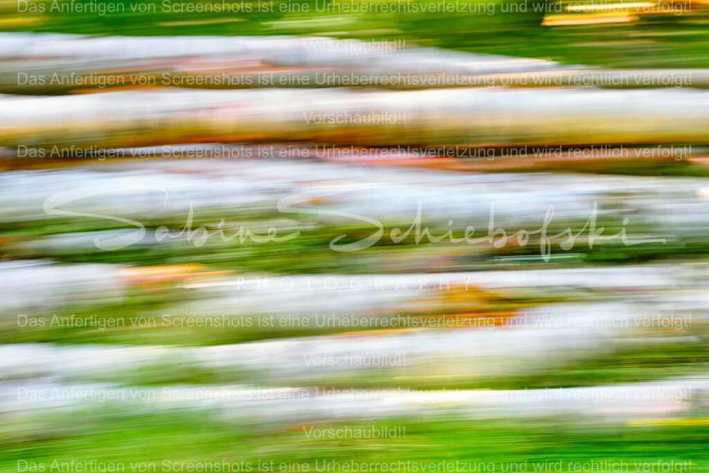 22-06-292022_06-NEU_4802 | People- und Tierfotografie, Imageaufnahmen, Veranstaltungsfotografie und Wandbilder aus der Natur ★ Made in Germany ✔️ Druck + Downloads ✔️ Naturfotografie in Top Qualität ★ schneller Versand, weltweite Lieferung! - Realisiert mit Pictrs.com