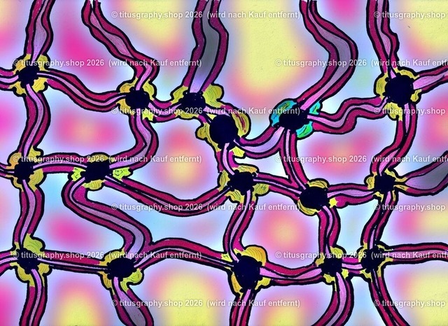 titusgraphy NEON-Kollektion 01-22 | Arbeit aus der titusgraphy-Fotokunstgalerie. Die erste Kollektion umfasst 24 Exemplare.  - Realisiert mit Pictrs.com