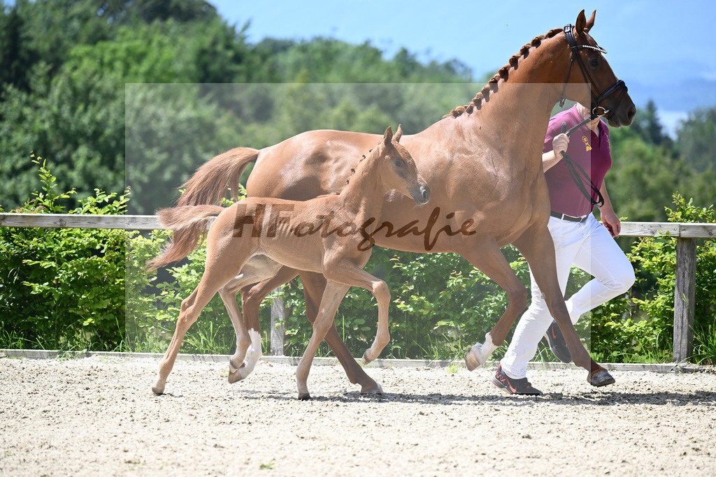 Va Bene x Zackman M_SF_Bauer_19240422 | hf-fotografie - Realisiert mit Pictrs.com
