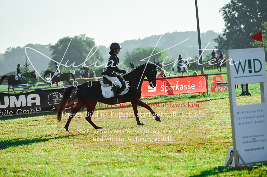 DSC_4065 | Pferde- und Turnierfotografie in Westsachsen. Pferdeportraits, Auftragszeichnungen und intuitive Kunst.
