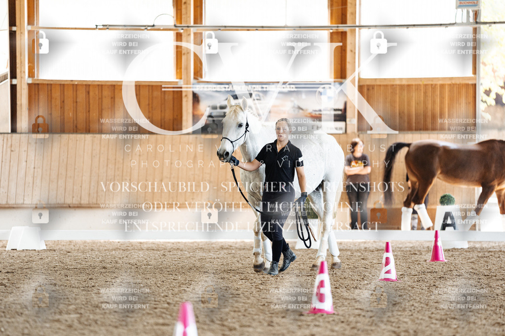 CK907743 | Turnierfotografie Pferdefotografie Trier Rheinland-Pfalz Pferdesport Reitsport Tierfotografie Sportfotografie Pferdevideo Pferdevideografie Equestrianvideography equestrianphotography  - Realisiert mit Pictrs.com