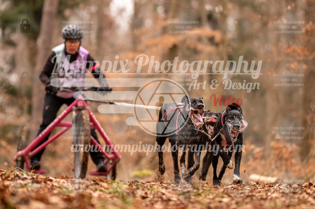AKM_ST_2023_SAM_DR4-22 | PayLife