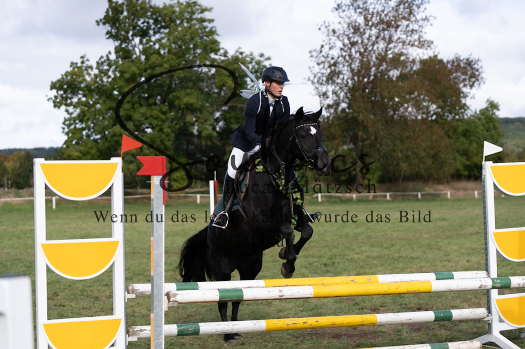 A7V06578 | Pferdefotograf