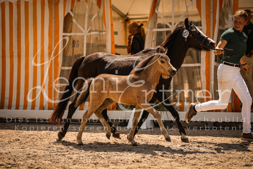 04.DoWP00044 | Leoni Ertmer Photography - Realisiert mit Pictrs.com