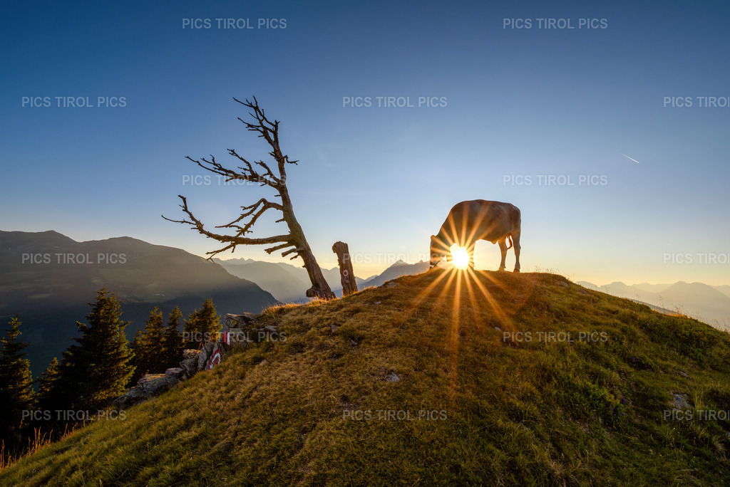 DSC_9324-Verbessert-RR-Bearbeitet | Tirolpics