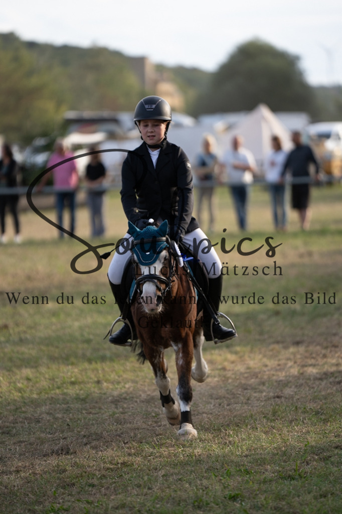 A7V09931 | Pferdefotograf