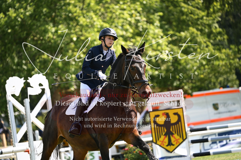 DSC_8839 | Pferde- und Turnierfotografie in Westsachsen. Pferdeportraits, Auftragszeichnungen und intuitive Kunst.