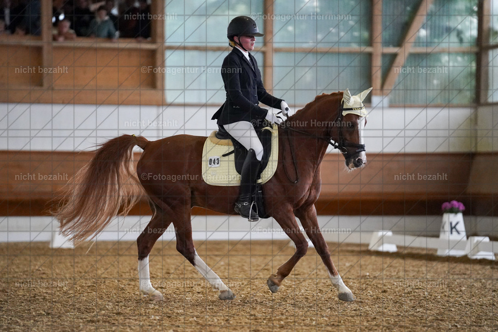 20240825-FAH09126 | Turnierbilder, Reitsportfotos, LAPO, Landesponyturnier, Turnierfotografen Bayern