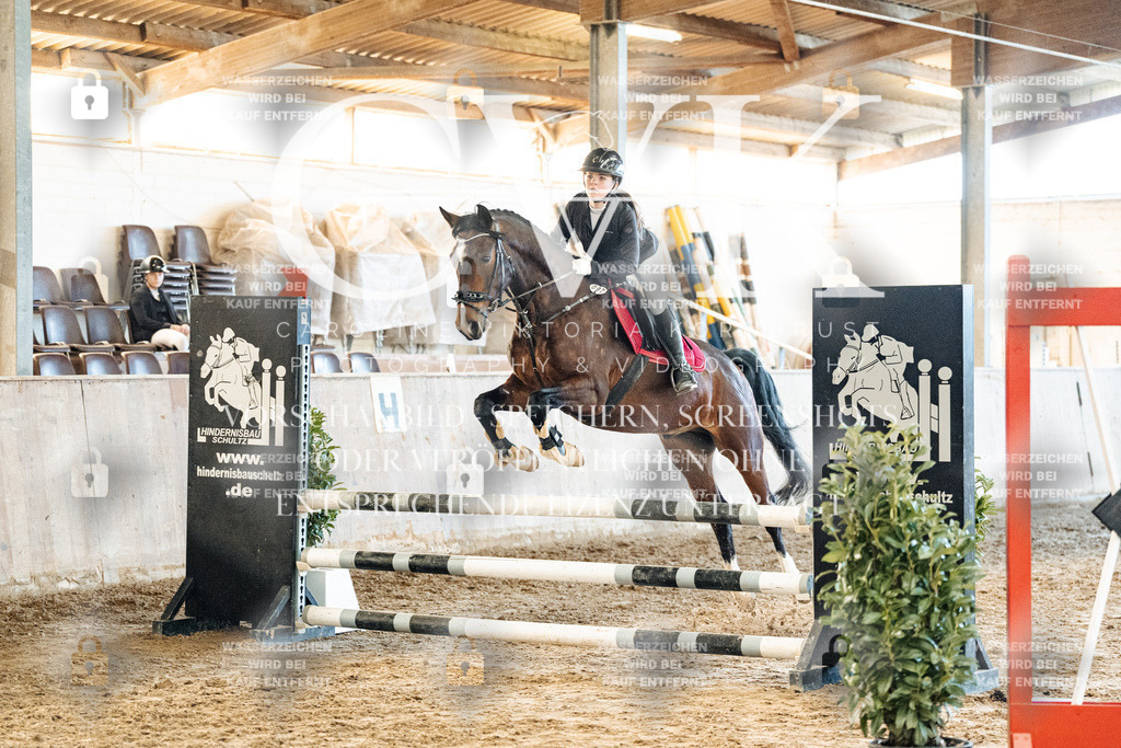CK904519 | Turnierfotografie Pferdefotografie Trier Rheinland-Pfalz Pferdesport Reitsport Tierfotografie Sportfotografie Pferdevideo Pferdevideografie Equestrianvideography equestrianphotography  - Realized with Pictrs.com