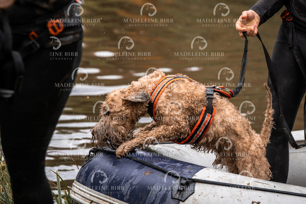 madeleinebirr-fotografie2025.campcanis.11-12Uhr-82 | hundefotografie-birr