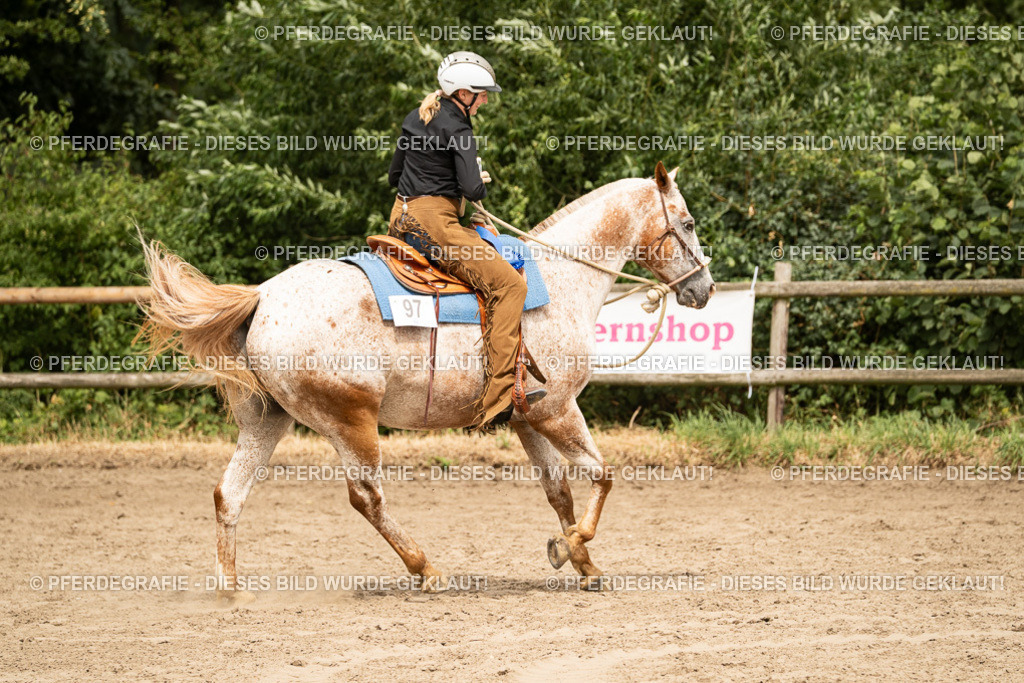 DSC01119 | Pferdegrafie