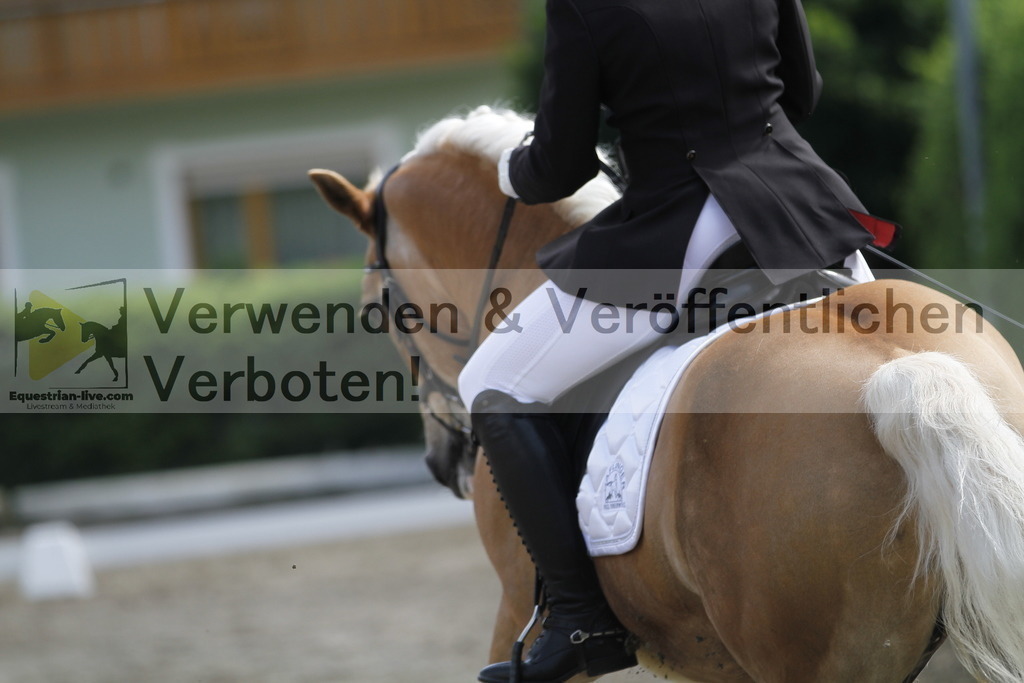 _MG_9838 | equestrian-live-com