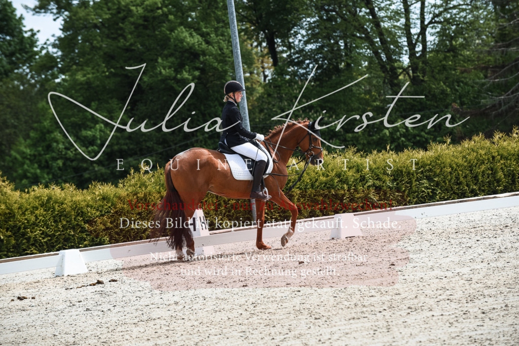 20230518_JK-Röhrsdorf-11-0584 | Pferde- und Turnierfotografie in Westsachsen. Pferdeportraits, Auftragszeichnungen und intuitive Kunst.