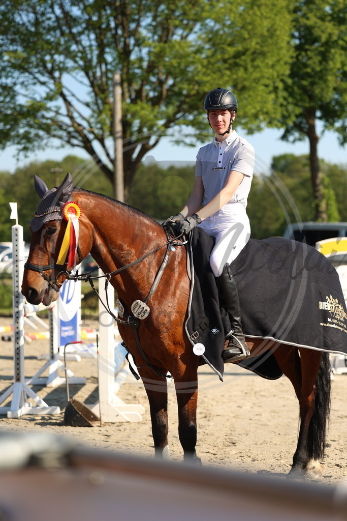 994A6208 | sabrinanicolaifotografie - Realisiert mit Pictrs.com