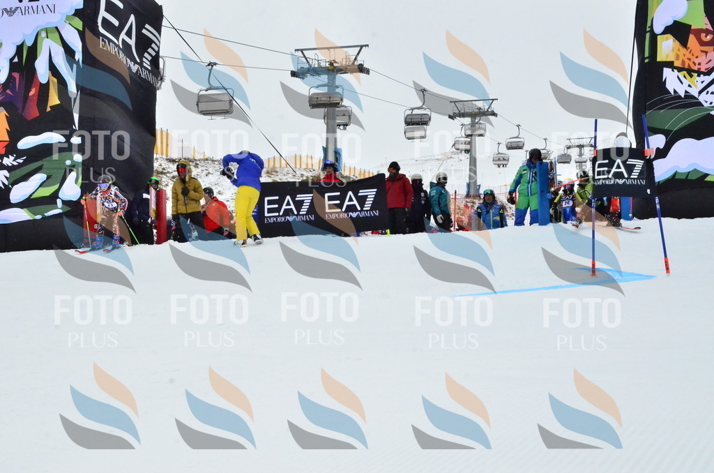 _ELE3241 | holidayphoto